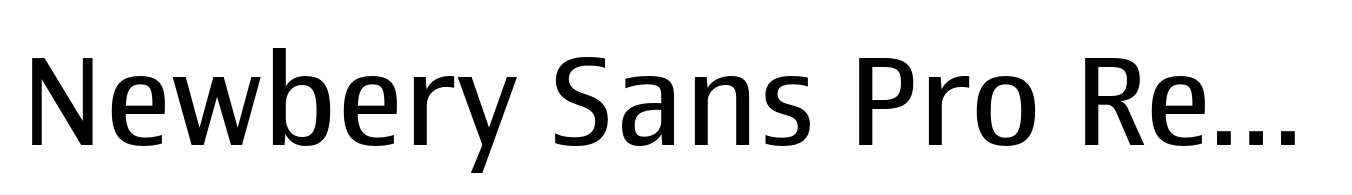 Newbery Sans Pro Regular